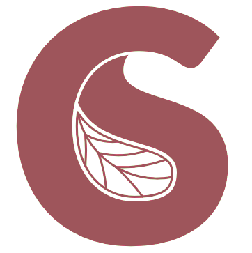 LCSlogo_solo logo_colore 02